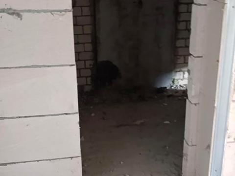 квартира по адресу Валерия Лобановского ул., 30 б