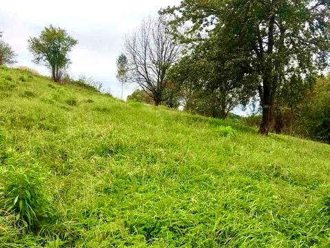 ділянка за адресою 