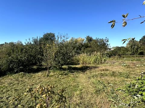 будинок за адресою Івана Піддубного вул. (Одухи), 12