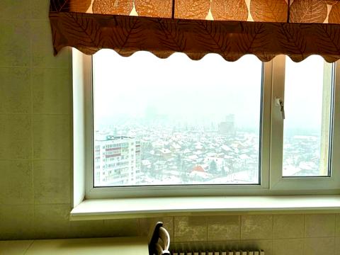 квартира за адресою Ахсарова вул., 1