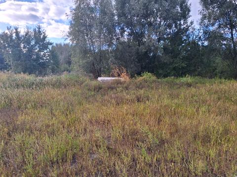 участок по адресу Озёрная ул.