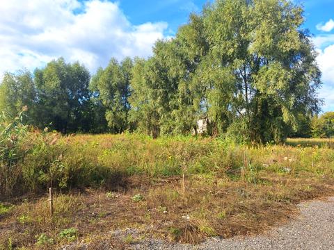 участок по адресу Озёрная ул.