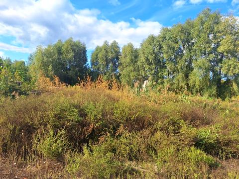 участок по адресу Озёрная ул.