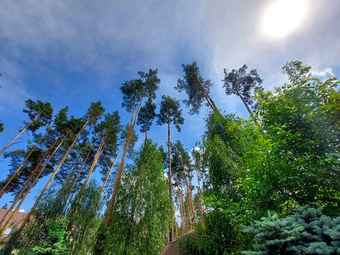 будинок за адресою Антонія Михайловського вул., 7Б