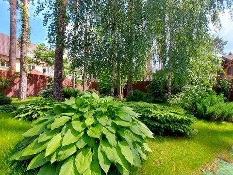 будинок за адресою Антонія Михайловського вул., 7Б