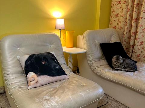 квартира за адресою Одеса, Грецька вул., 2