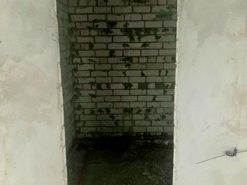 квартира по адресу Михаила Лушпы просп., 5