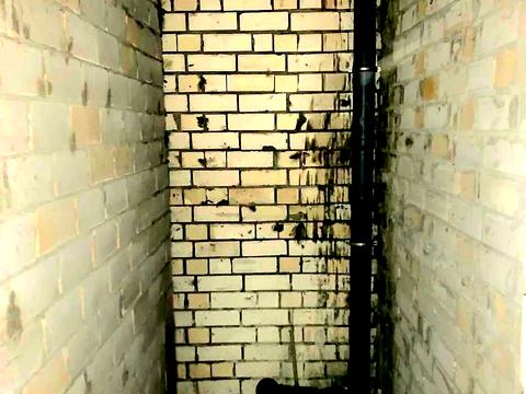 квартира по адресу Михаила Лушпы просп., 5