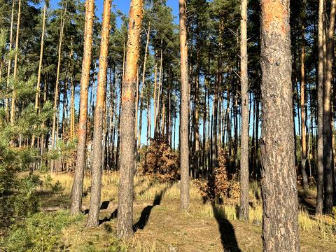 будинок за адресою Незалежності