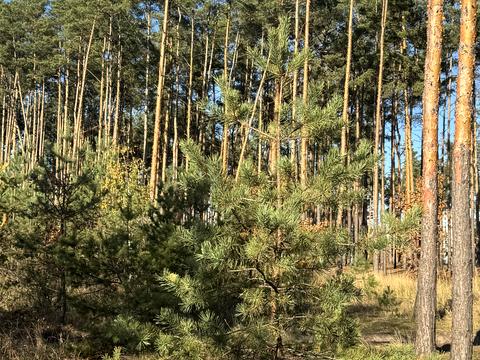 будинок за адресою Незалежності