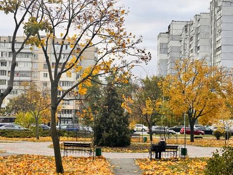 квартира за адресою Червоної Калини просп. (Володимира Маяковського), 38/10