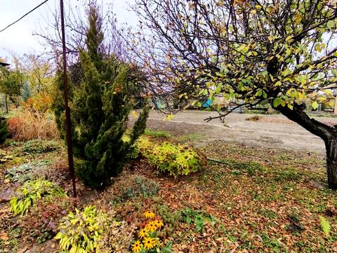 будинок за адресою с/т Лада