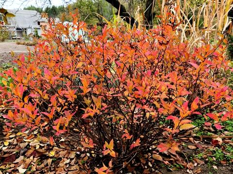 будинок за адресою с/т Лада