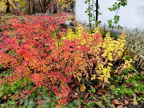 будинок за адресою с/т Лада