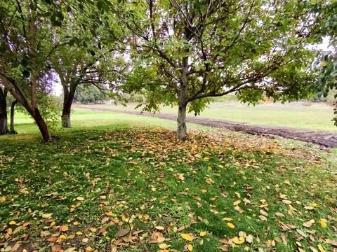 будинок за адресою Центральна