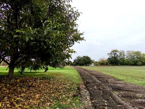 будинок за адресою Центральна