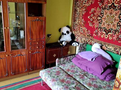 квартира по адресу Янтарная ул., 79