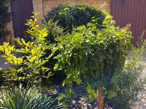 будинок за адресою Миколаївська вул.