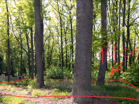 участок по адресу 