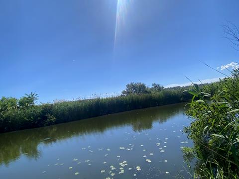 ділянка за адресою Прибережна вул.