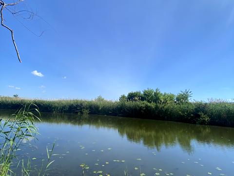 ділянка за адресою Прибережна вул.