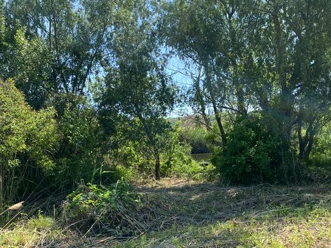 ділянка за адресою Прибережна вул.