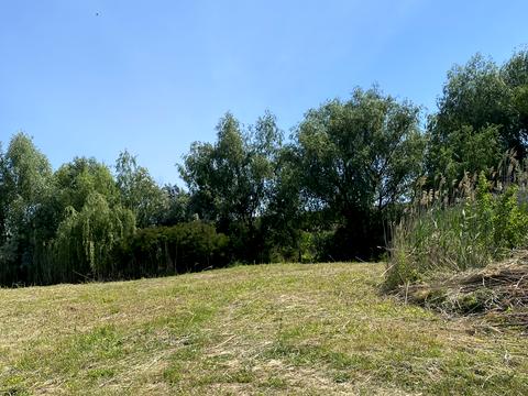 ділянка за адресою Прибережна вул.