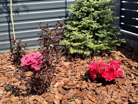 будинок за адресою Центральна вул.