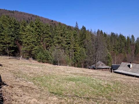 дом по адресу Любомира Гузара ул. (Пушкіна), 64