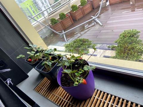 комерційна за адресою Юрія Іллєнка вул. (Мельникова), 18-Б