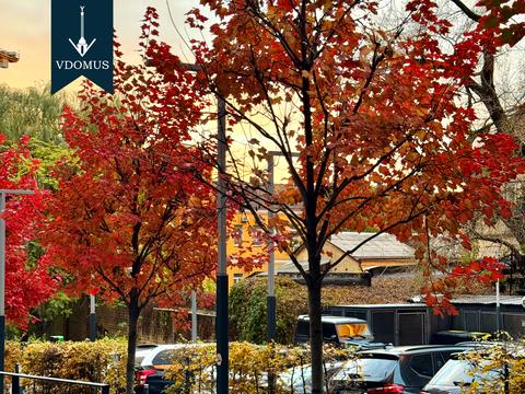 квартира по адресу Антоновича ул. (Горького), 74