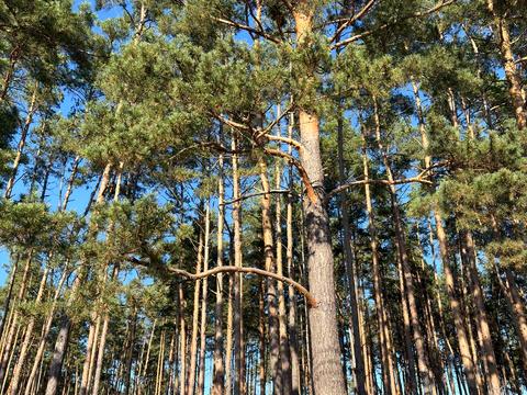 будинок за адресою Незалежності
