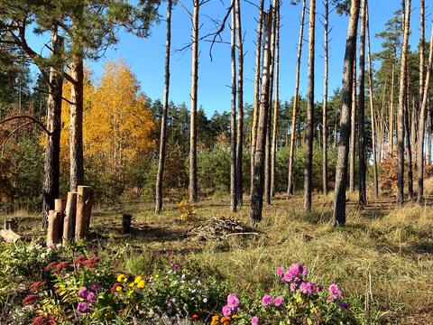 будинок за адресою Незалежності