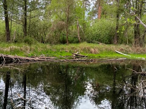 участок по адресу 