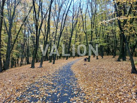 квартира за адресою Голосіївський просп. (40-річчя Жовтня), 76