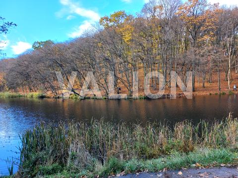 квартира за адресою Голосіївський просп. (40-річчя Жовтня), 76