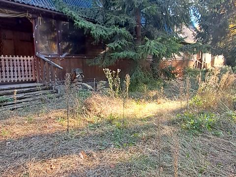 комерційна за адресою Селище, 1а