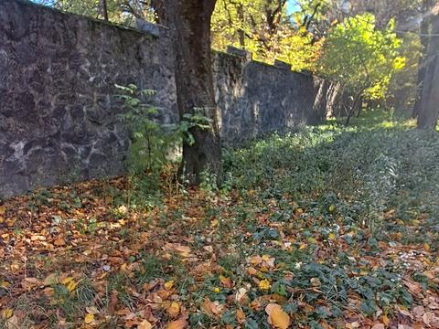 комерційна за адресою Селище, 1а