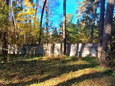 комерційна за адресою Селище, 1а