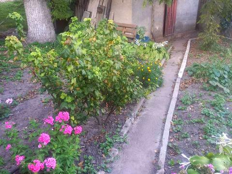 дом по адресу Кобзарская ул. (Пухова), 21