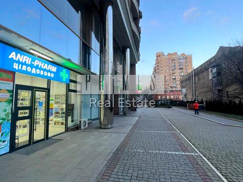 комерційна за адресою Жилянська вул., 59