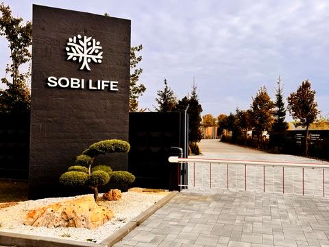 будинок за адресою Прирічна