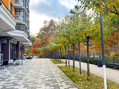 квартира по адресу Прорізна ул., 1