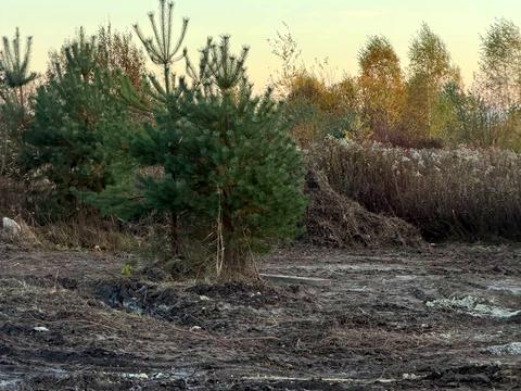 участок по адресу 