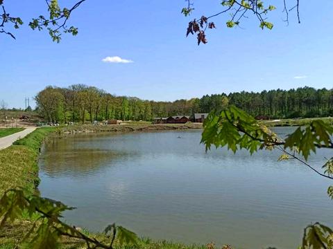 ділянка за адресою Волянська