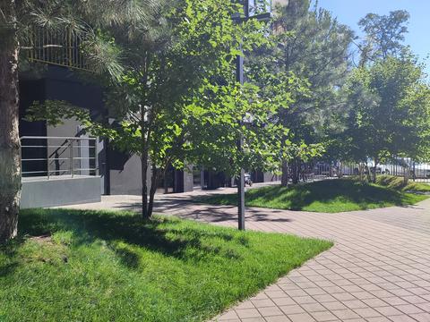 квартира за адресою Ісмаїла Гаспринського вул. (Сормовська), 3