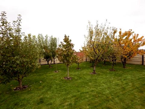 дом по адресу Центральная ул.