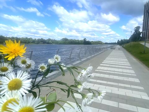 квартира по адресу Митрополита Андрея Шептицкого ул. (Анатолія Луначарського), 3-Б