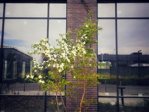 комерційна за адресою Новокостянтинівська вул., 12