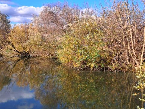 участок по адресу 